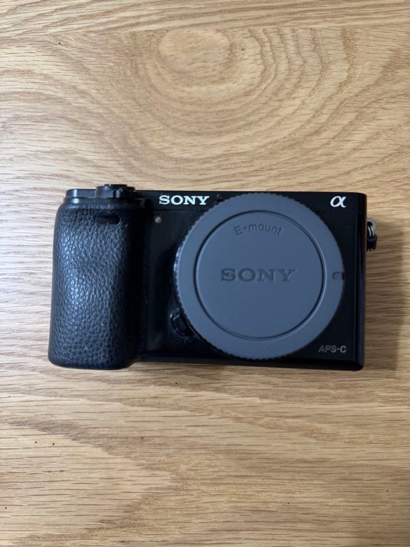 Sony α6000 ミラーレス一眼