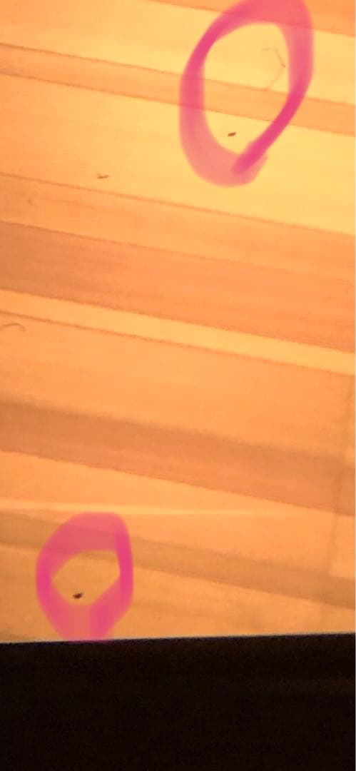 【値下げしました】OLYMPUS OM-1 ZUIKO 50mm F1.4