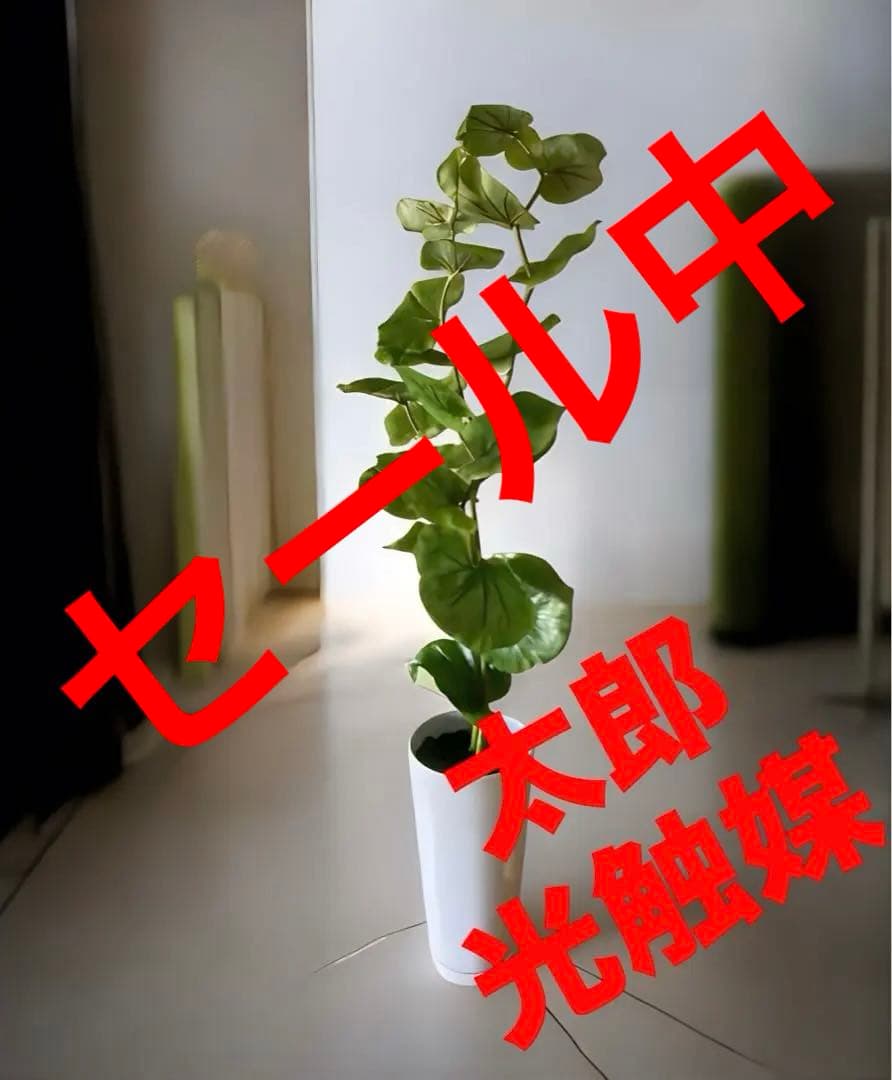 光触媒　人工観葉植物　ウォールグ リーン　フェイクグリーン　シーグレープ100
