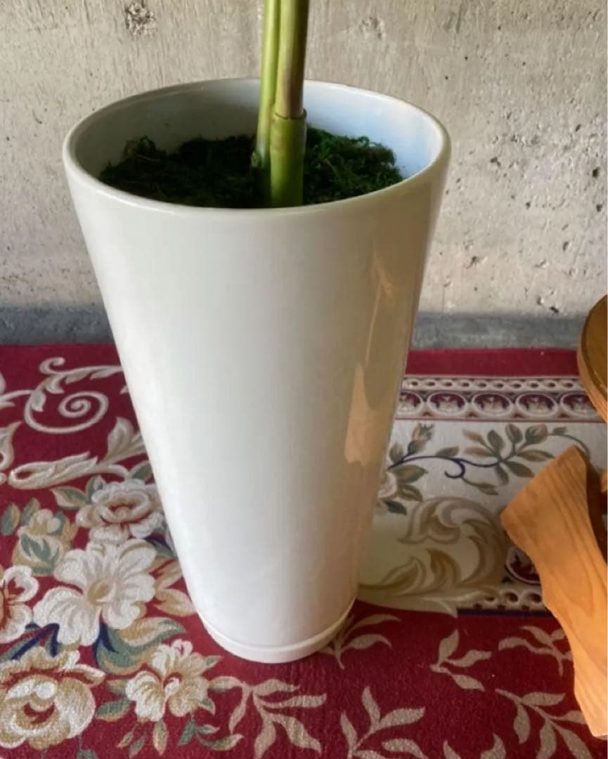 光触媒　人工観葉植物　ウォールグ リーン　フェイクグリーン　シーグレープ100