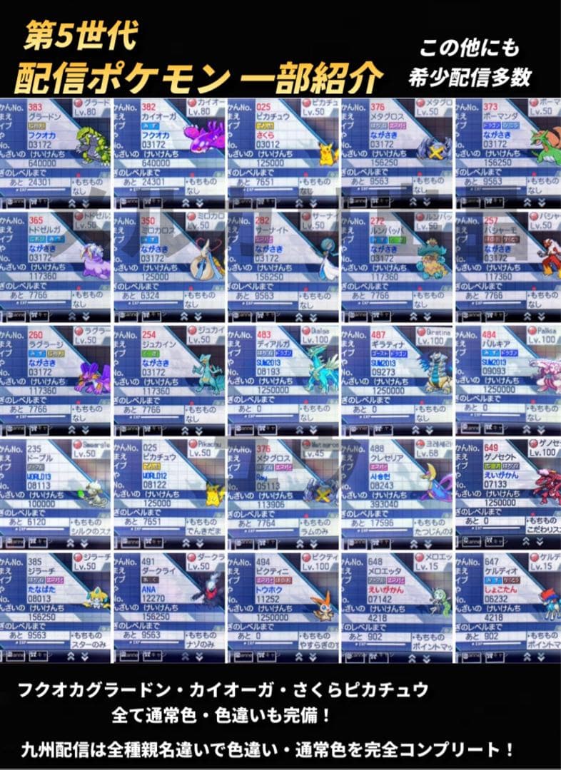 Y Yページ ご希望ポケモン追加・トレーナー名など指定あり ホワイト2