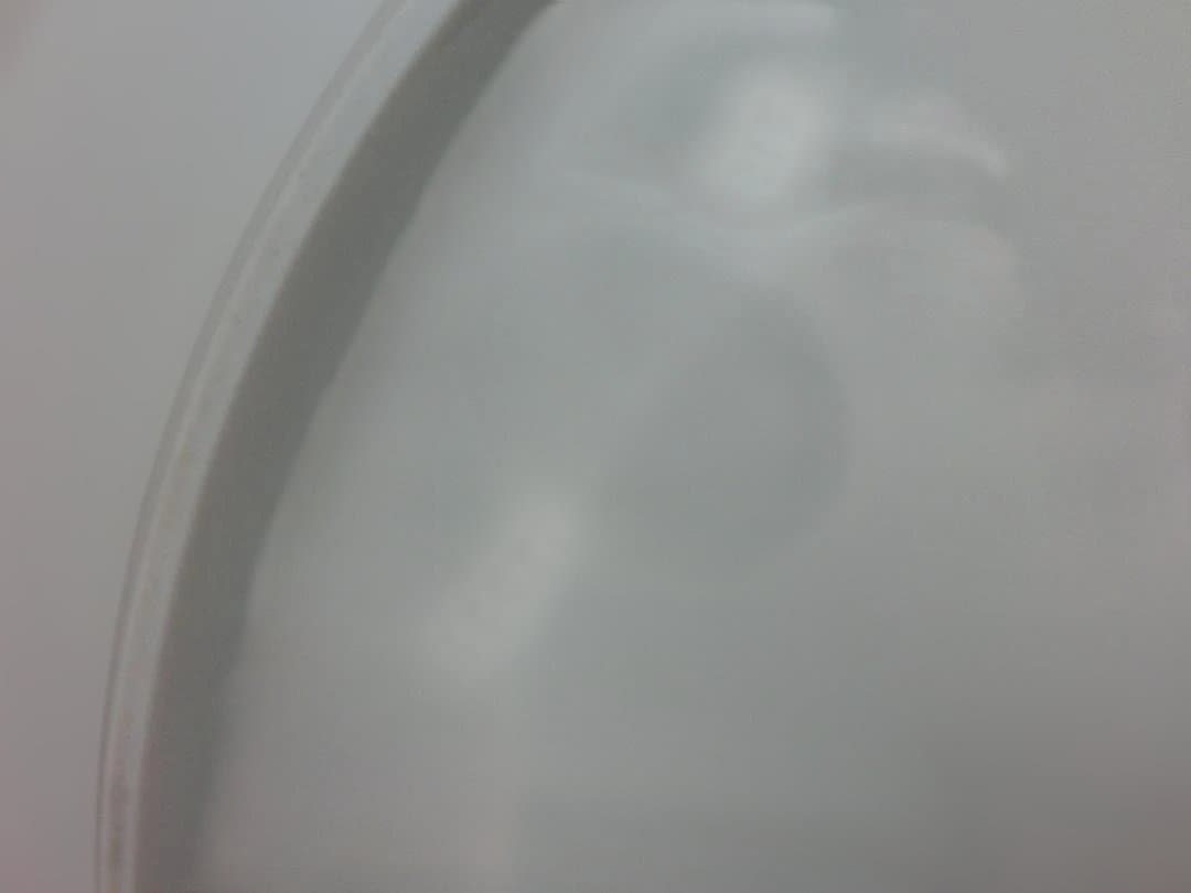 【マイセン】イヤープレート1992年冬の森