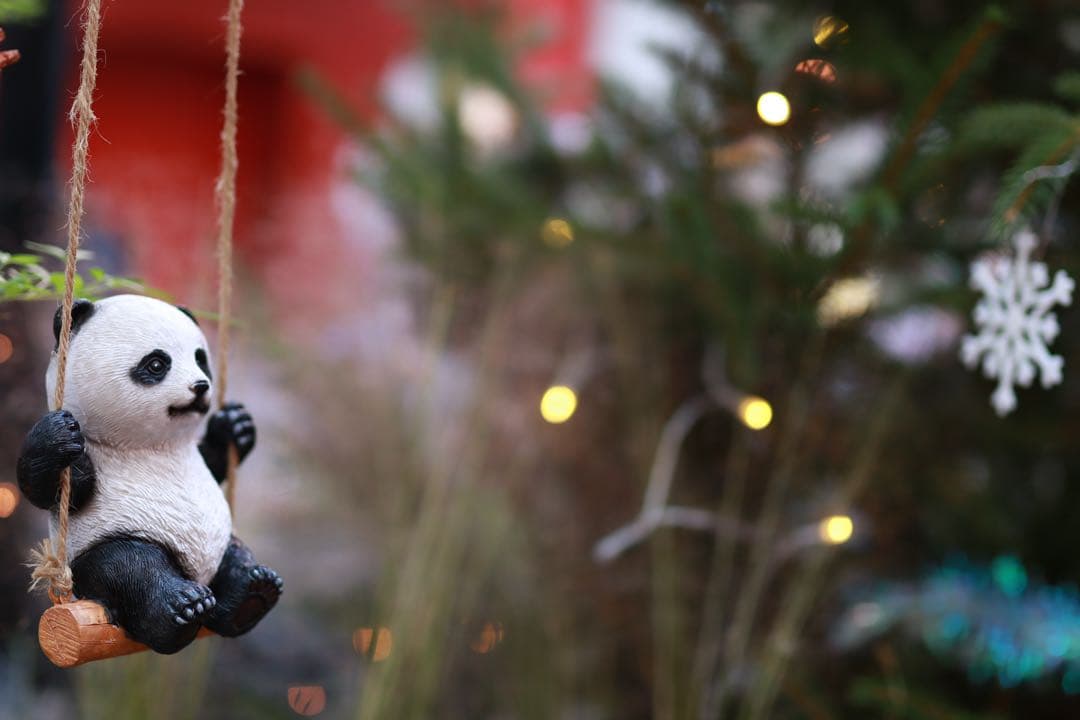 Canon EOS Kiss X10i デジタル一眼レフカメラ