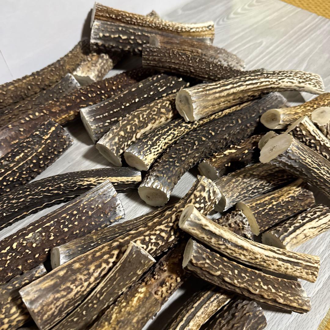 鹿の角　端材Ｂ　ハンドメイド用