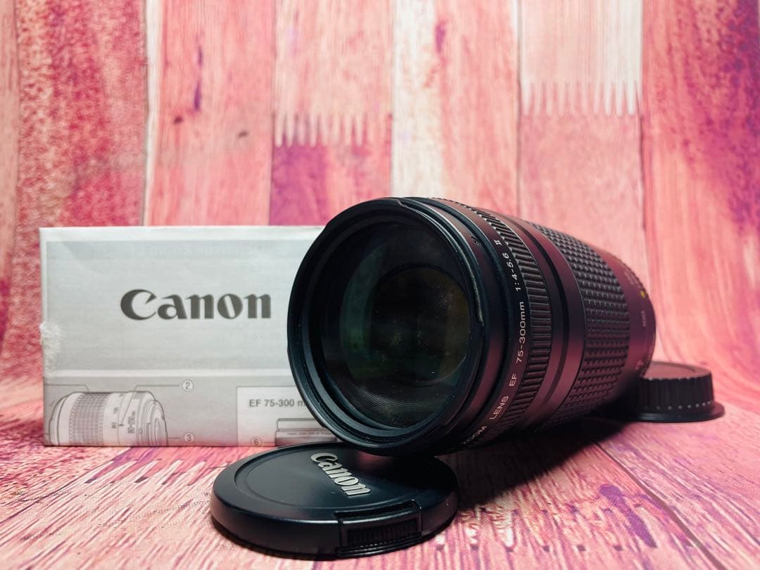 Canon キャノン EF 75-300 1:4-5.6 Ⅱ