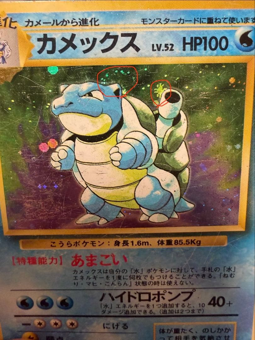 【旧裏】カメックス マーク無し 第1弾拡張パック 渦巻き/星ホロ有り