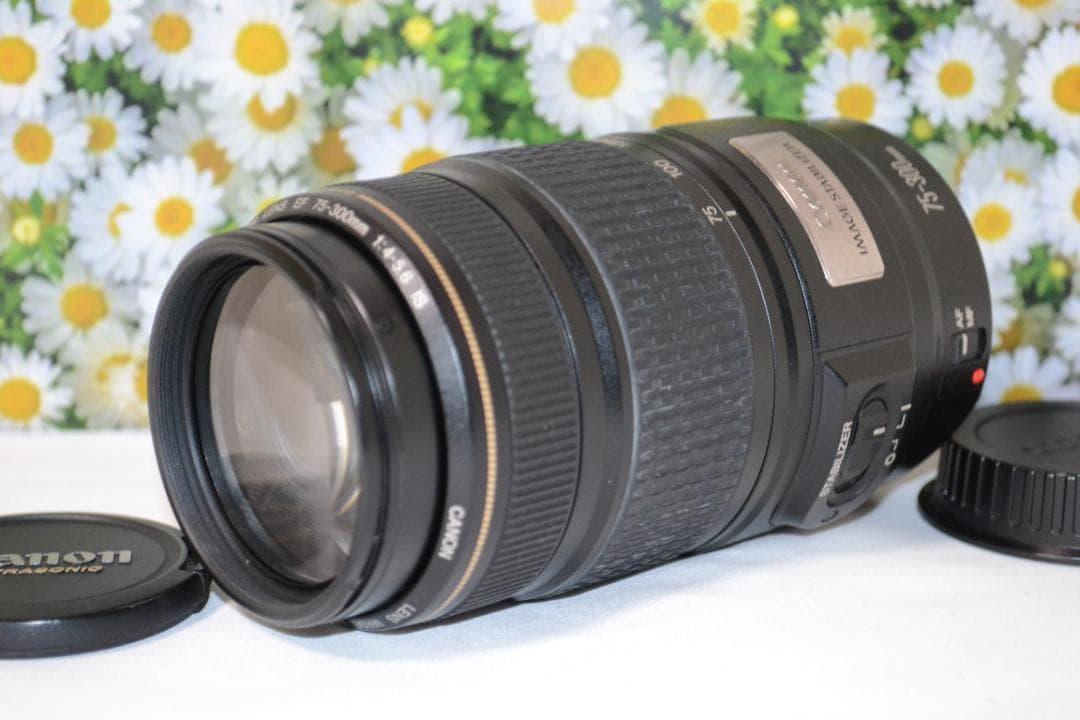 ❤️美品❤️Canon EF 75-300mm IS USM❤️超望遠❤️人気