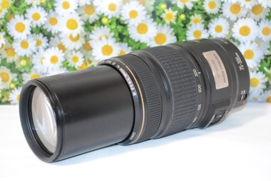 ❤️美品❤️Canon EF 75-300mm IS USM❤️超望遠❤️人気