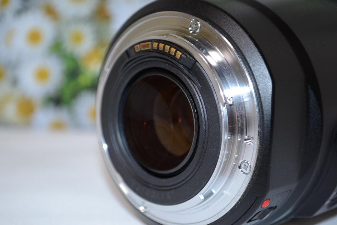 ❤️美品❤️Canon EF 75-300mm IS USM❤️超望遠❤️人気