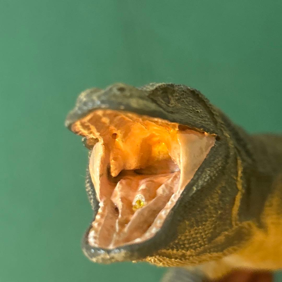 海洋堂 清水ゆう子 コモドドラゴン フィギュア