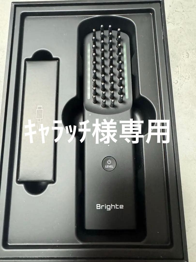 Brighte ELEKIBRUSH ブライト エレキブラシ本体セット
