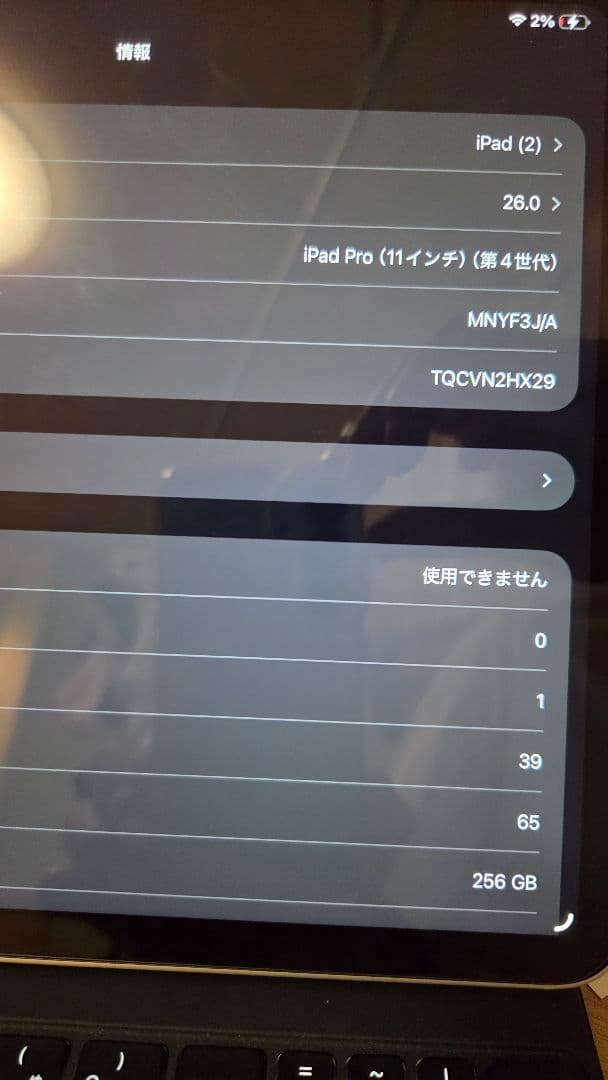 iPad Pro 11インチ 第4世代(M2) Cellular 256GB
