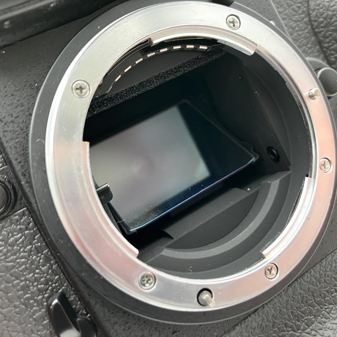 Nikon F5 一眼レフ フィルムカメラ 動作確認済 Fマウント 人気モデル