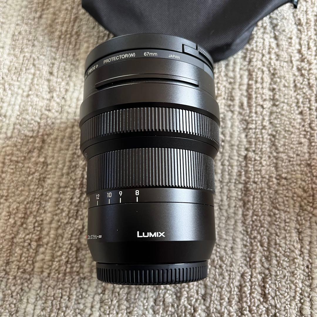 パナソニック H-08018 LEICA DG VARIO-ELMARIT