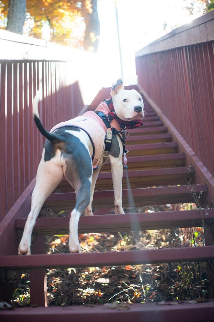 37　インダスター61 未使用品　52ｍｍｆ2.8　オールドレンズ