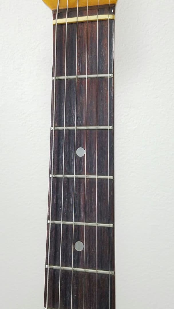 Brian by Bacchus テレキャスターカスタムタイプ エレキギター