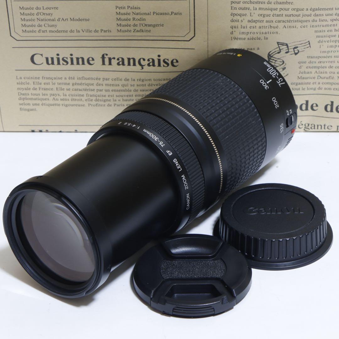 ◇超望遠&高速AF◇ Canon純正 75-300mm II型 望遠レンズ ◇