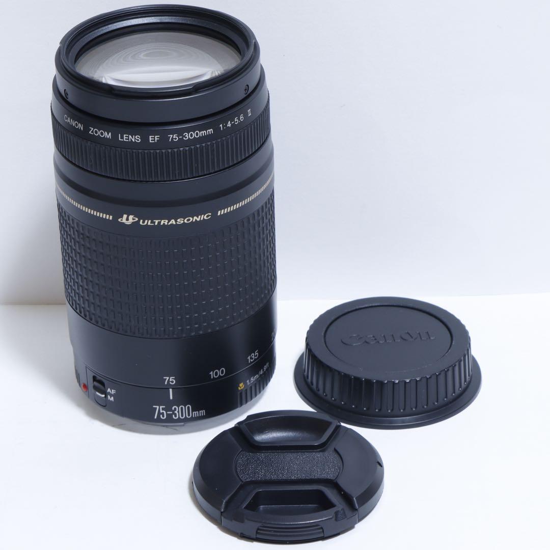 ◇超望遠&高速AF◇ Canon純正 75-300mm II型 望遠レンズ ◇