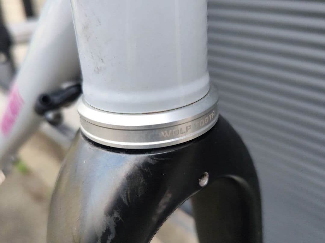 Fairlight Cycles SECAN フレームセット 54T