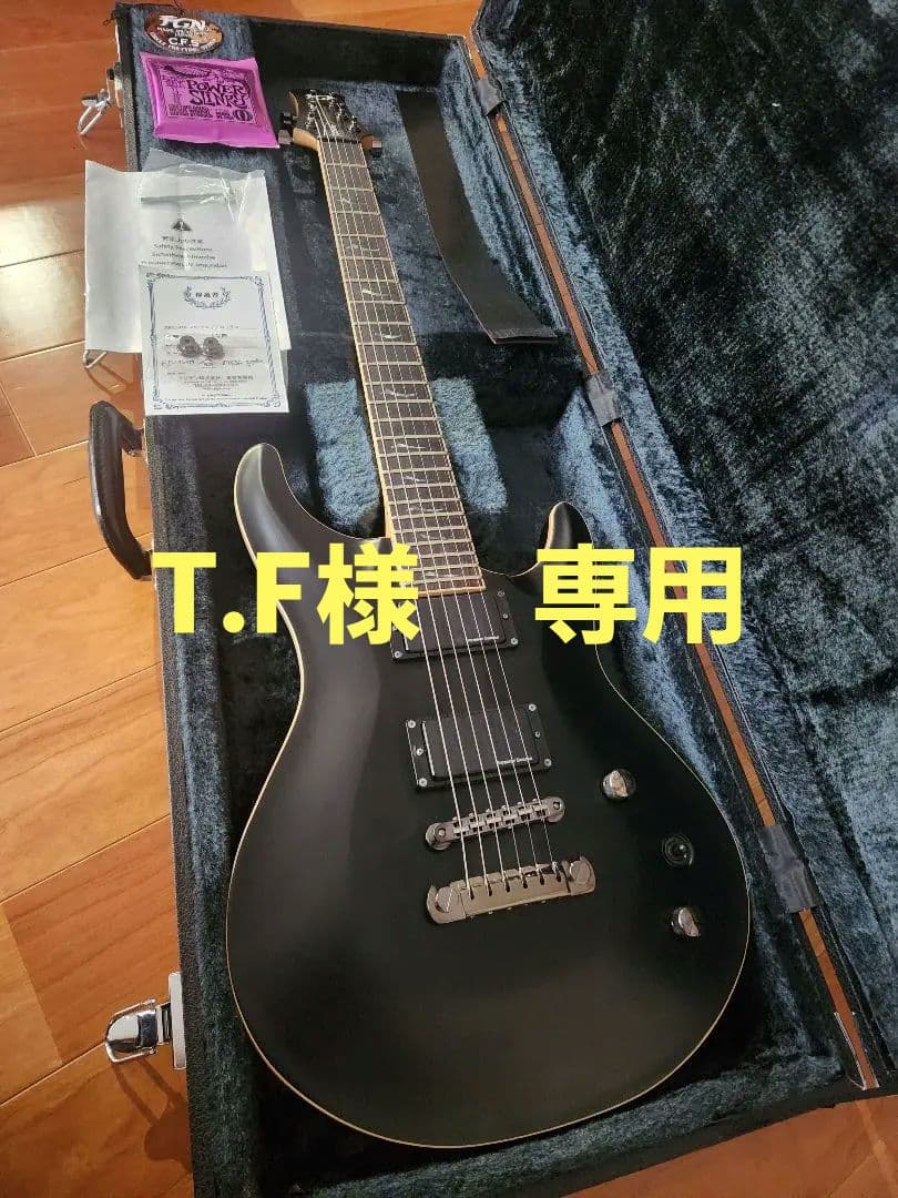 フジゲン Fujigen Expert Elan