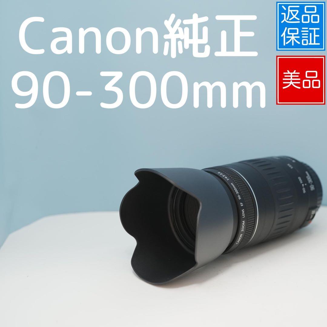 Canon純正 90-300mm 望遠レンズ 美品 a3858