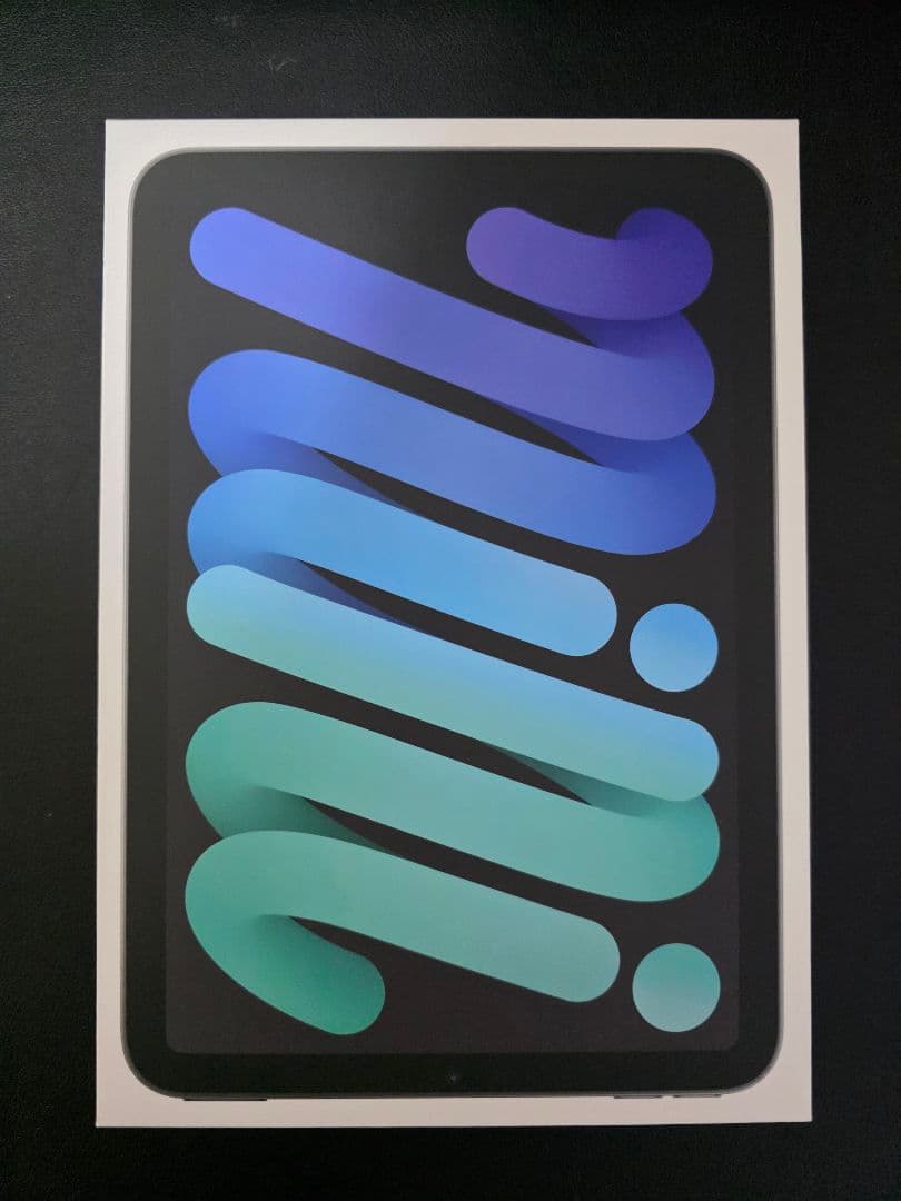 iPad本体 iPad mini7(A17Pro) Wi-Fi + Cellular 256