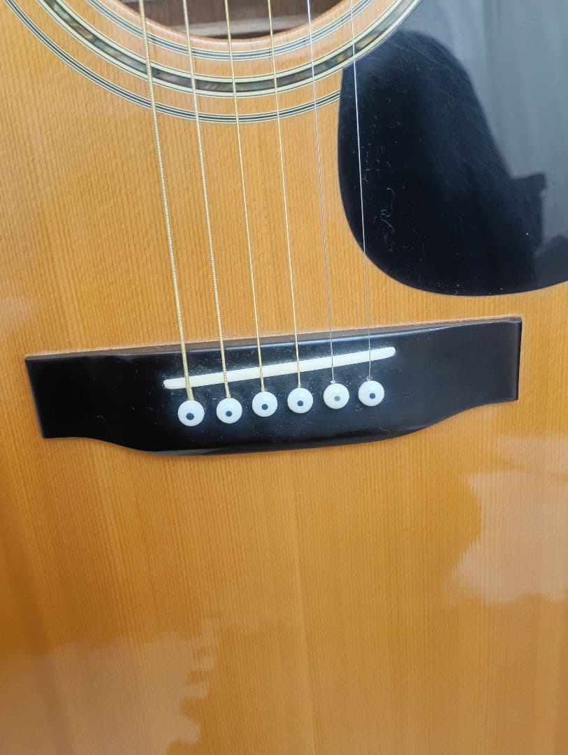 1/12迄値下げ ！CAT‘S EYES TCE-35単板 鈴鳴りの音