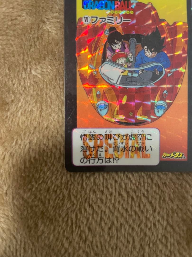 ドラゴンボールカードダスめちゃんこプロジェクトNo.Ⅵファミリー