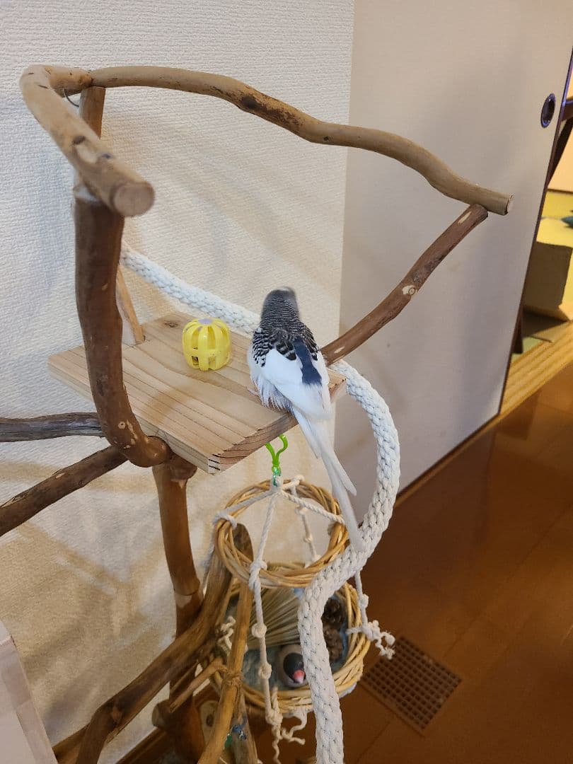 ③ ☆てん☆オーダーバードアスレチック　流木　ハンドメイド