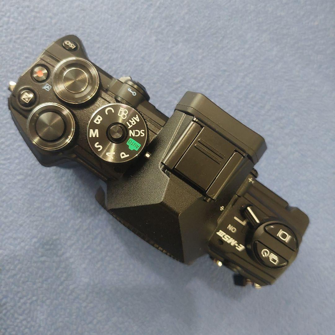 (ショット数2366枚 極上)オリンパス OM-D E-M5 Mark III
