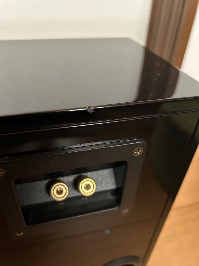 スピーカー・ウーファー DENON SC-A55SG