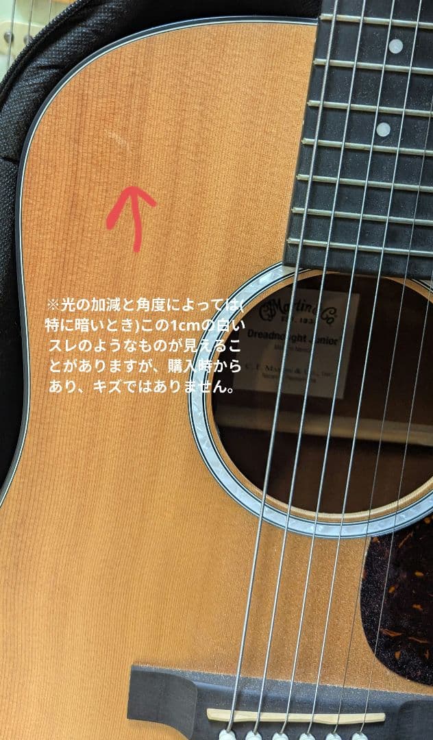 Martin & Co. アコースティックギター