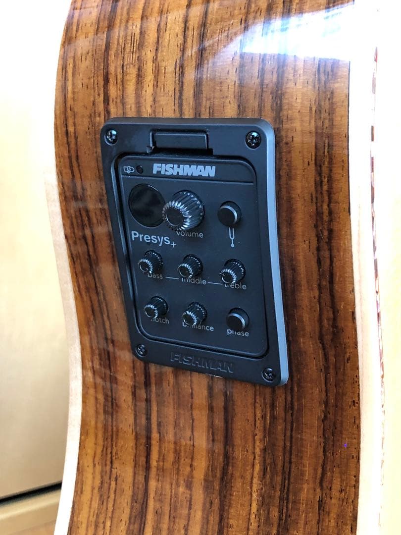 DCT DR-742E エレクトリックアコースティックギター 新品弦+ケース付き