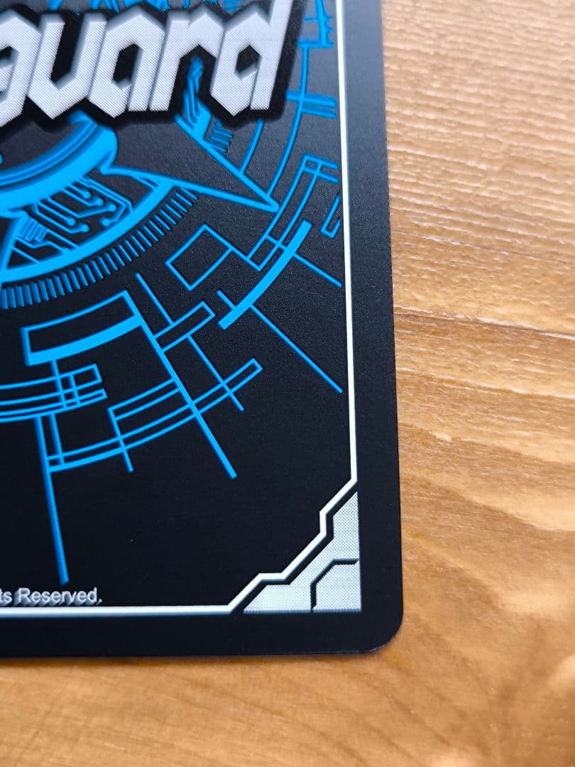 ヴァンガード スノウスキップ パルヴィ TGR+