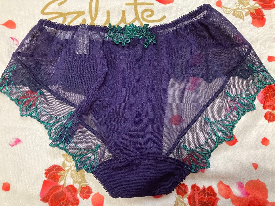 Salute 34G ブラジャーショーツセット E80 LL ゼウス