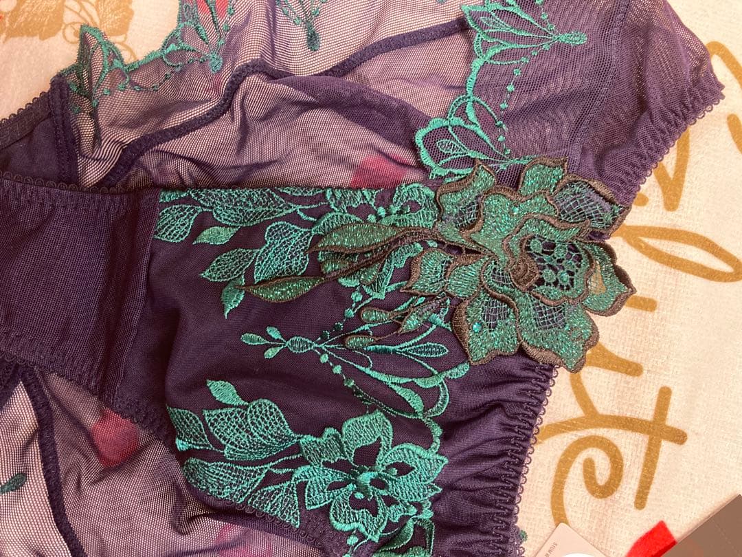 Salute 34G ブラジャーショーツセット E80 LL ゼウス