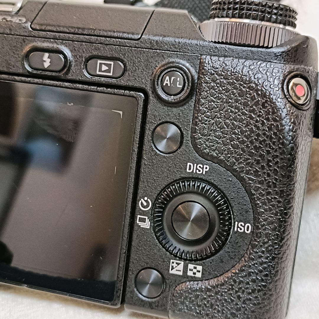 SONY α NEX-6 ミラーレス一眼 APS-C