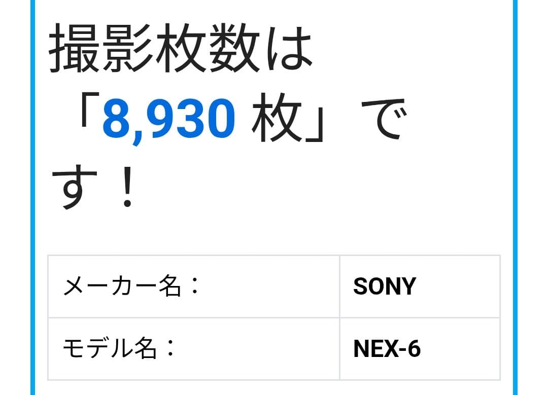 SONY α NEX-6 ミラーレス一眼 APS-C