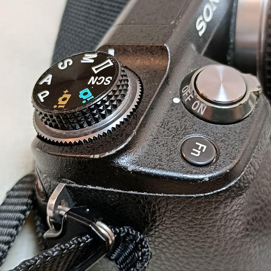 SONY α NEX-6 ミラーレス一眼 APS-C