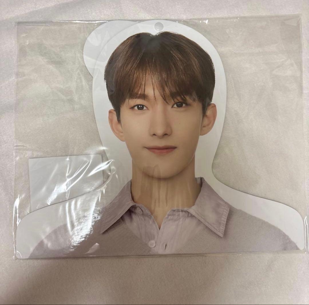 SEVENTEEN ドギョム まとめ売り