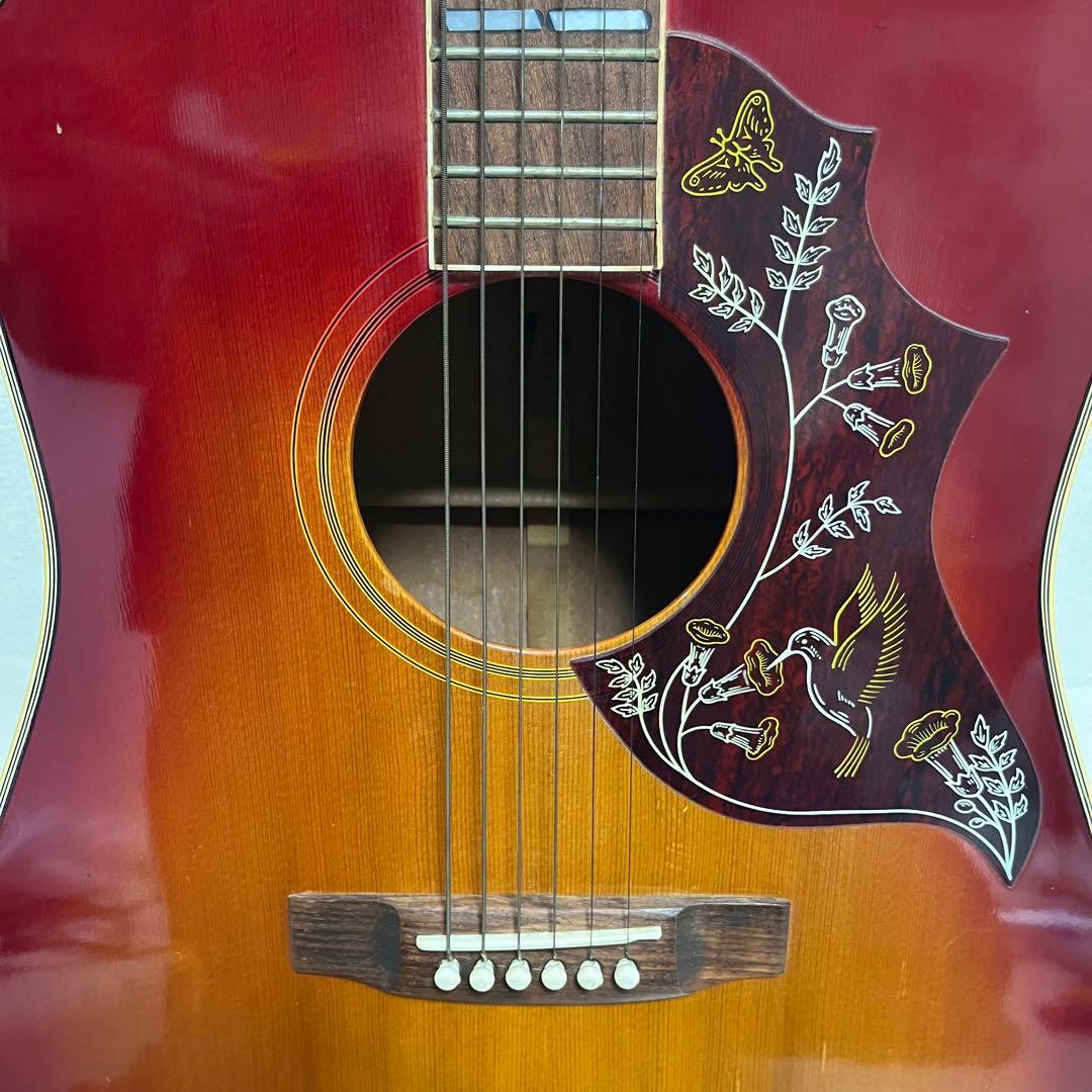 Pearl ハミングバード アコースティックギター