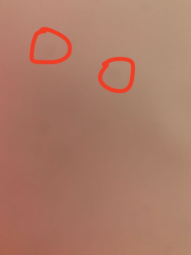 Apple iPhone Xr (128GB) コーラル