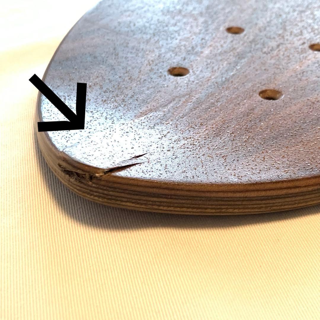 新品 ARBOR 高級デッキ Sizzler FLAGSHIP 訳ありアーバー