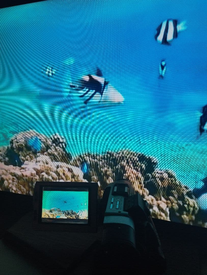 ソニー　安定動作 MiniDV ビデオカメラ DCR-TRV7 ミニdv