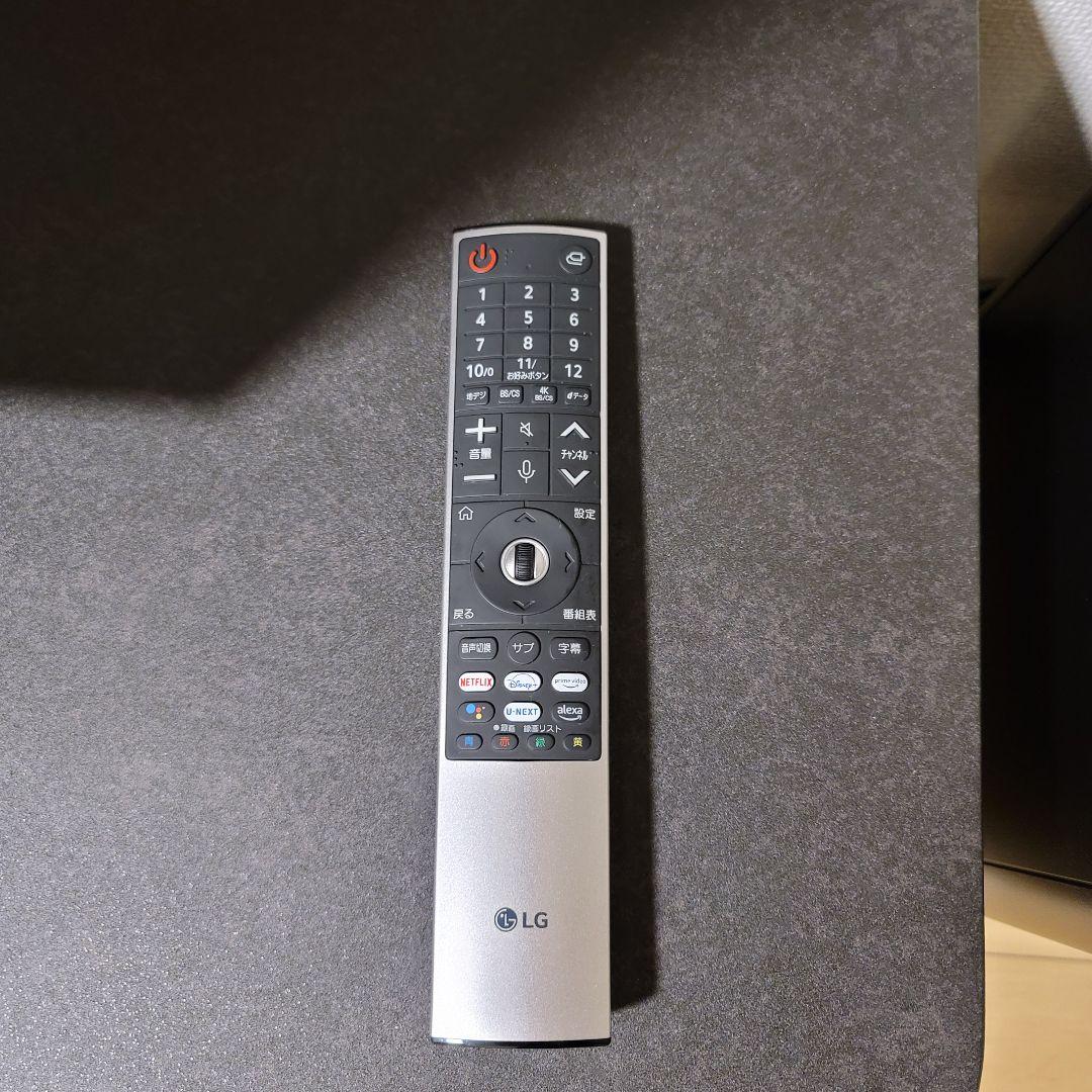 [使用9か月] LG OLED evo 55インチ 有機EL　テレビ