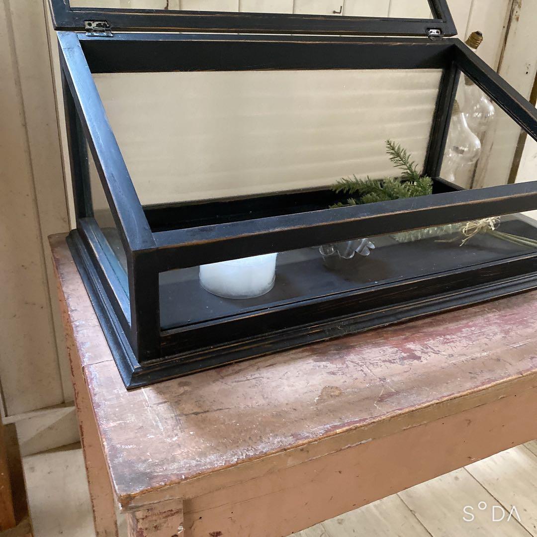 フランスアンティークガラスケース　アクセサリーケース　ディスプレイケース