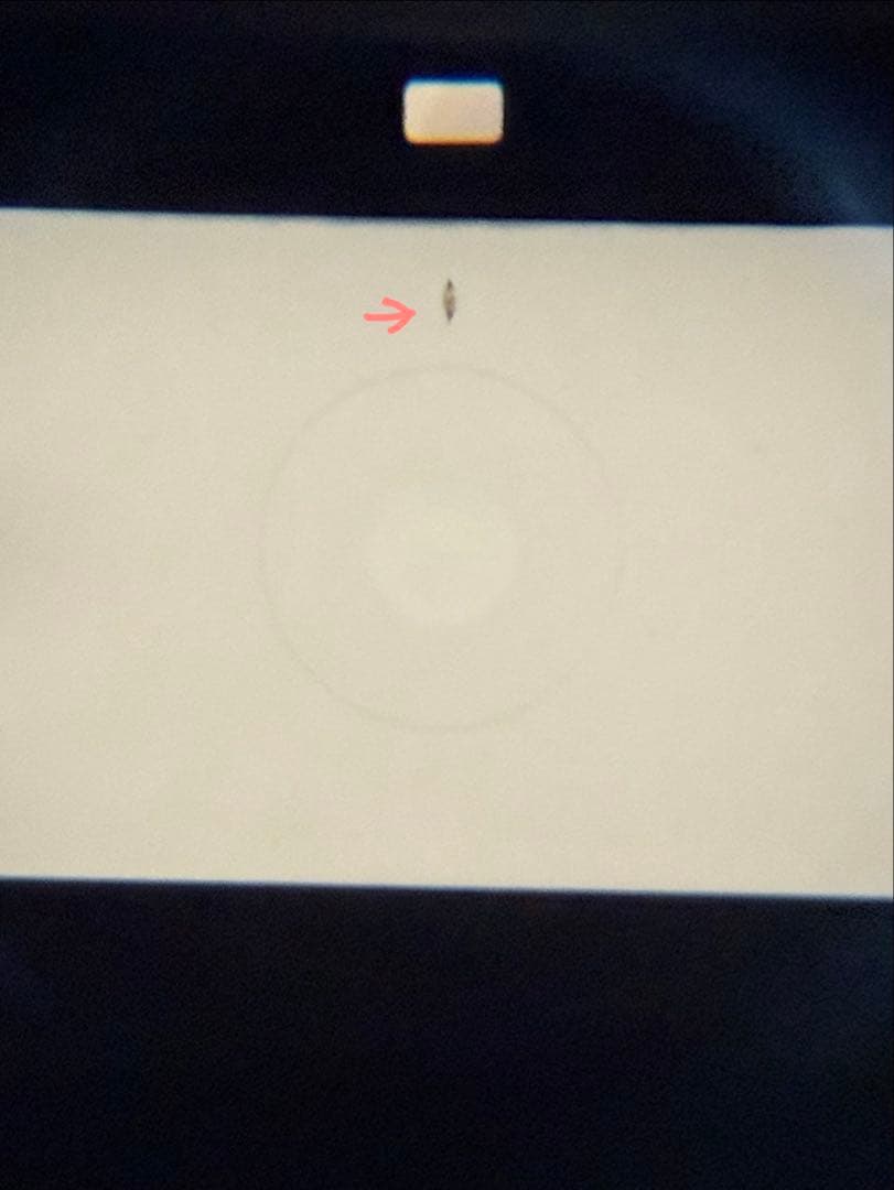 ニコン FM3A + Ai-S 50mm F1.4