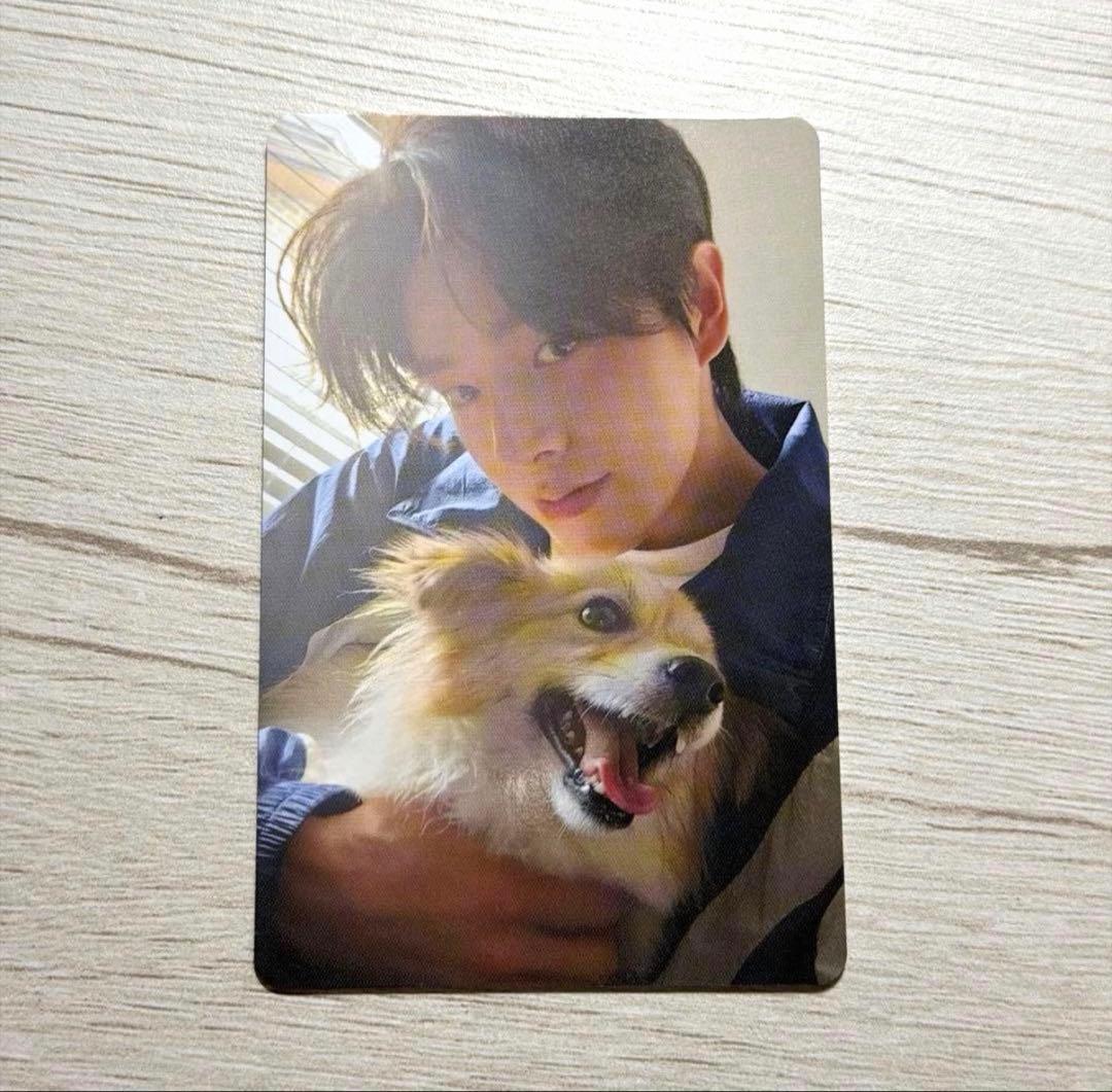 enhypen ジェイク トレカ アンケートトレカ 2025