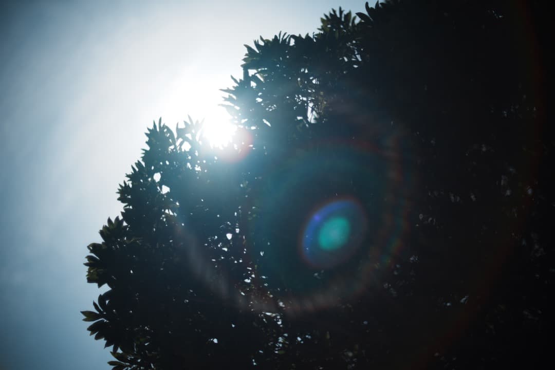 【美品】動作◎ ニコン　New Nikkor 50mm F1.4 前 050