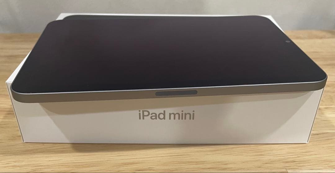 iPad mini 第7世代　ApplePencil proセット